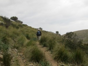 IMG_4766 (Medium)